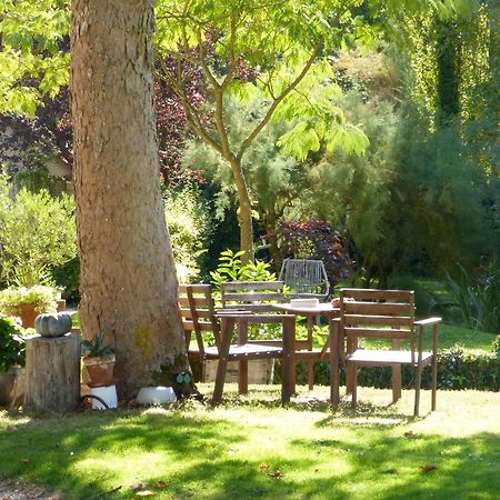 Domaine De Joreau Gennes-Val-de-Loire Dış mekan fotoğraf