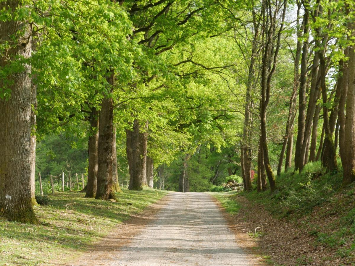 Domaine De Joreau Gennes-Val-de-Loire Dış mekan fotoğraf