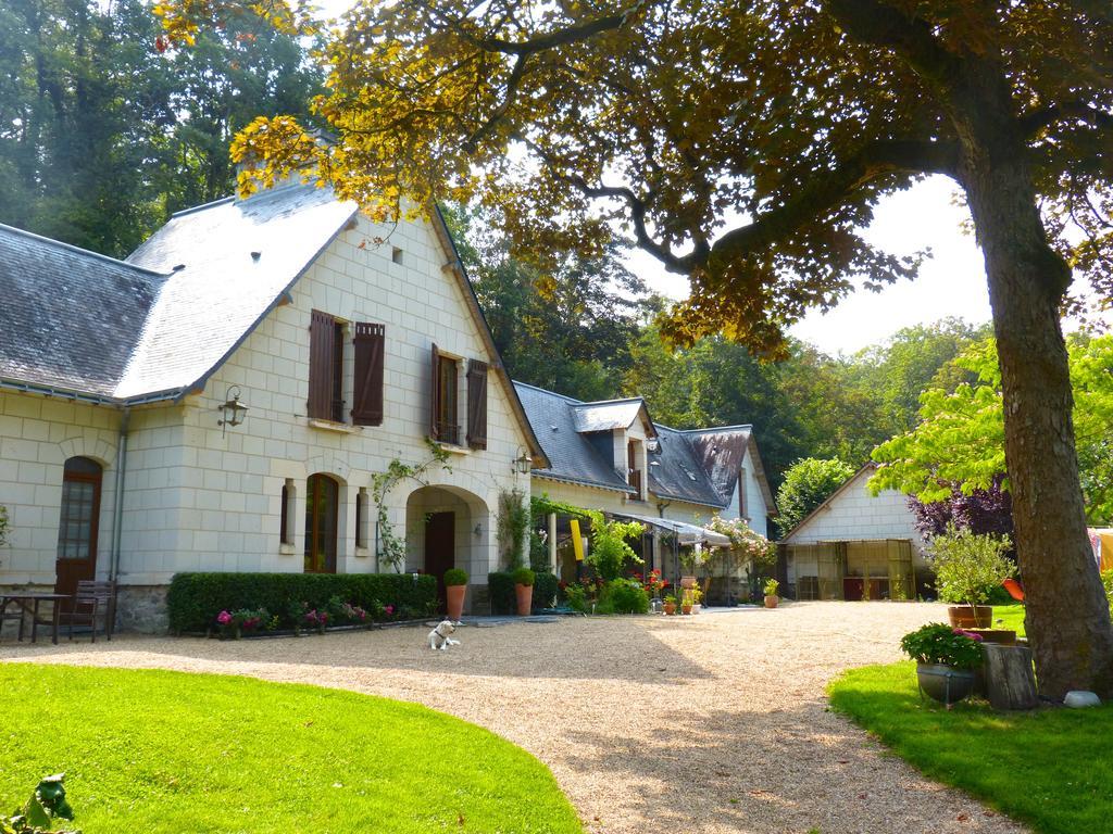Domaine De Joreau Gennes-Val-de-Loire Dış mekan fotoğraf