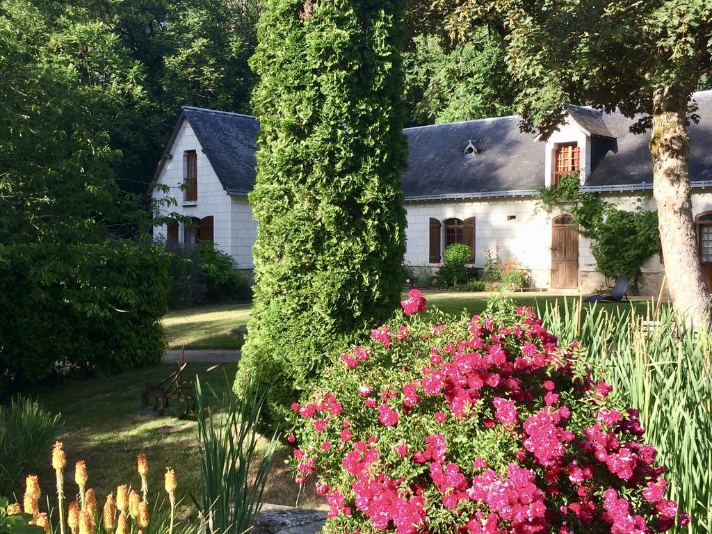 Domaine De Joreau Gennes-Val-de-Loire Dış mekan fotoğraf