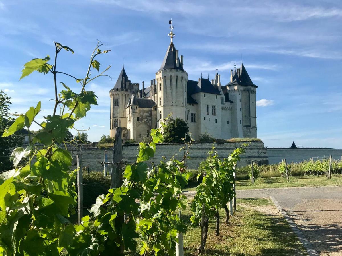 Domaine De Joreau Gennes-Val-de-Loire Dış mekan fotoğraf